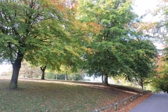 Autumn 3