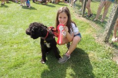 Dog show